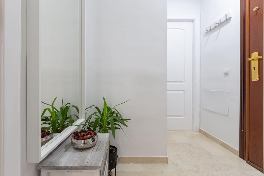Apartamento Suite Centrico Malaga Zewnętrze zdjęcie